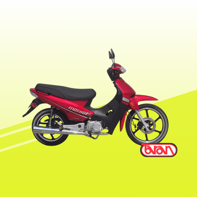Moto Yumbo Max 110 F