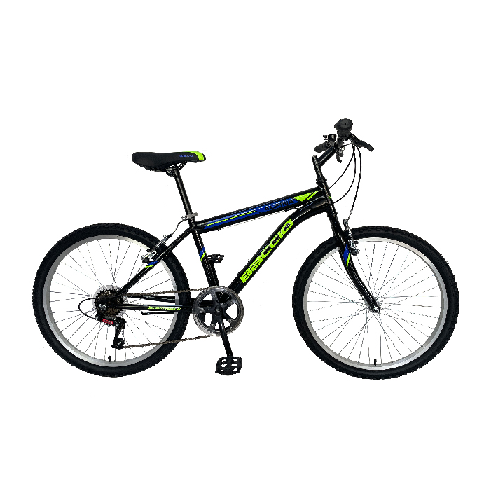 Bicicleta Baccio Alpina Caballero R24