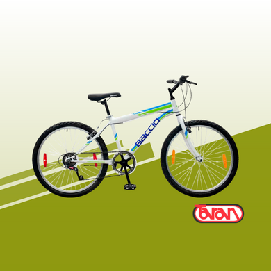 Bicicleta Baccio Alpina Caballero R24