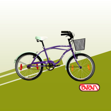 Bicicleta Baccio Miss Ipanema Rodado 20