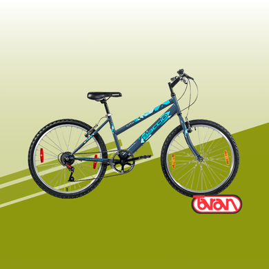 Bicicleta Baccio Alpina Rodado 24 para Dama