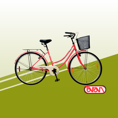 Bicicleta Baccio Siena Rodado 26