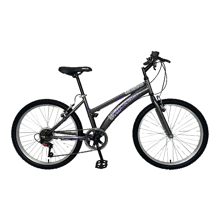 Bicicleta Baccio Alpina Rodado 26 para Dama