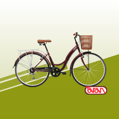 Bicicleta Baccio Liberty Rodado 26/700 6 Velocidades