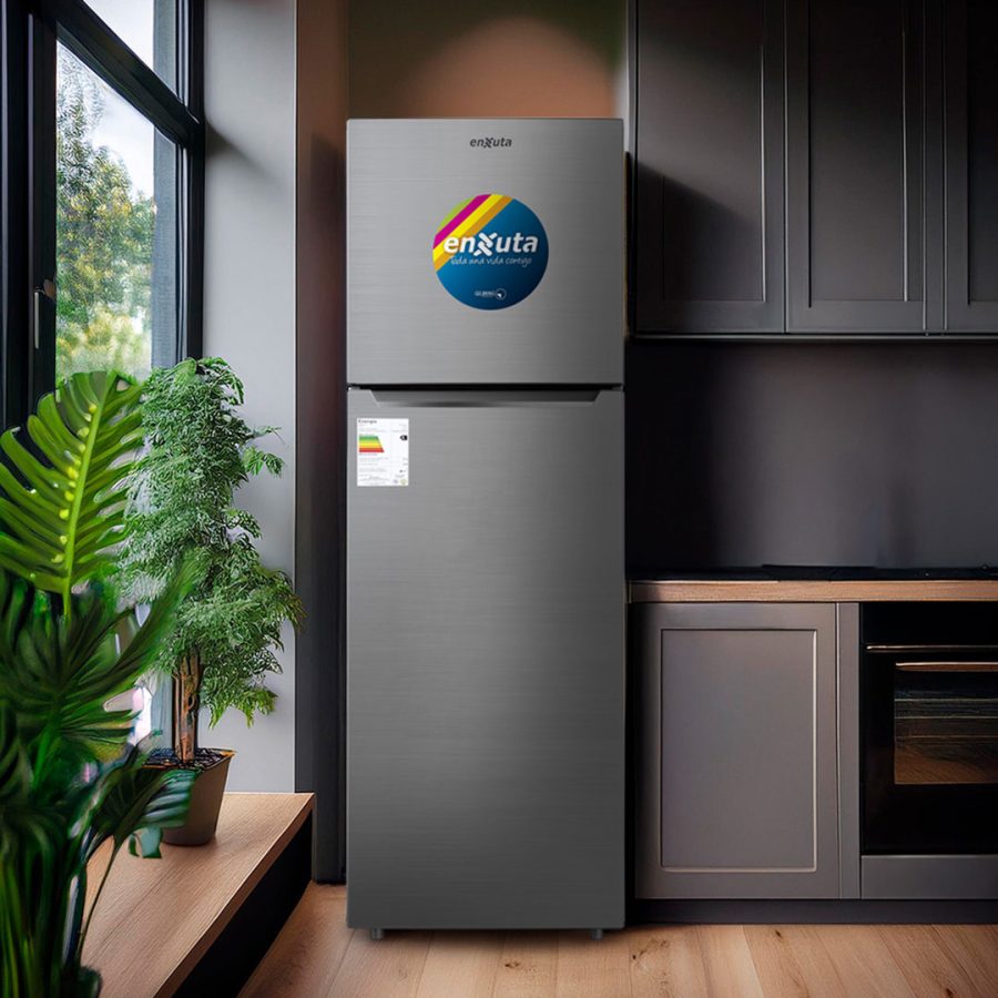 Refrigerador Enxuta Frío Seco 248L Inox RENX275I-1